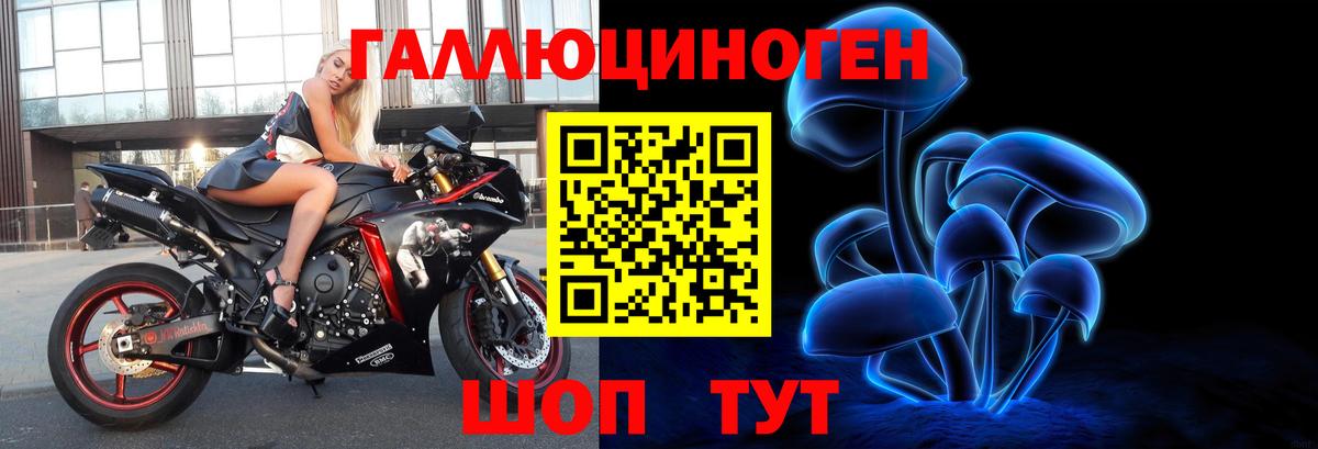 Сибай  Псилоцибиновые грибы MAGIC MUSHROOMS  Вход с VPN 